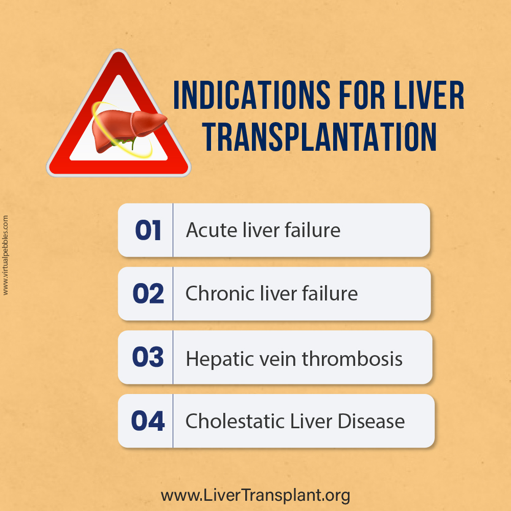 Liver Transplant