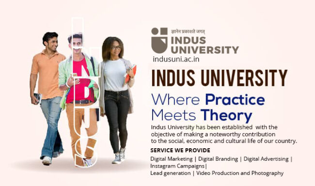 Indus University